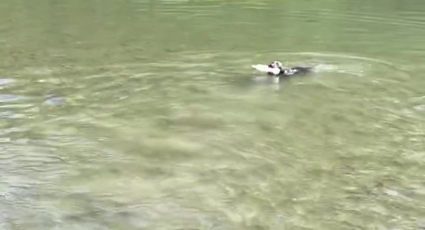 Henry's Water intro